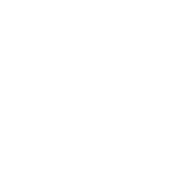 Pregnancy4